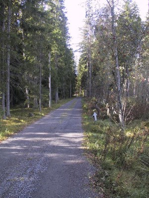 154-5472_IMG.jpg