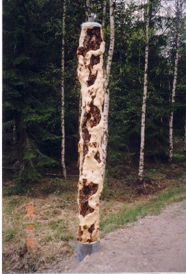 tienpaatolppa.jpg