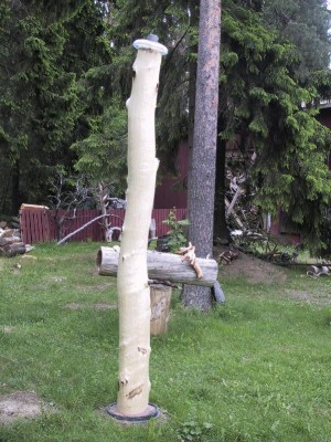 10062003_2.jpg